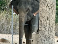 -清迈夜间动物园