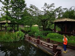 -成飞公园