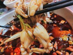 -耗儿鱼蛙蛙叫·老成都火锅(蛇口海昌街店)