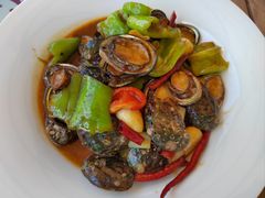 -船歌·鱼水饺青岛菜(奥帆中心店)