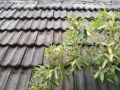 -二楼南书房
