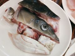 -正能量脆肉鲩火锅