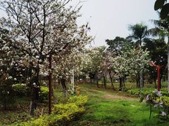 -荔湾区儿童公园