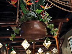 -云海肴云南菜(正大广场店)