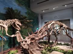 -自贡恐龙博物馆