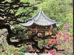 -云溪植物园