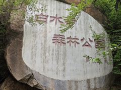 -白水寺森林公园
