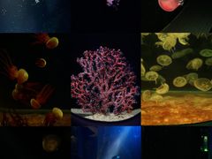 -欢乐海岸海洋奇梦馆