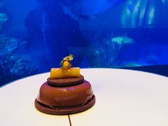 -迪拜帆船酒店海底餐厅