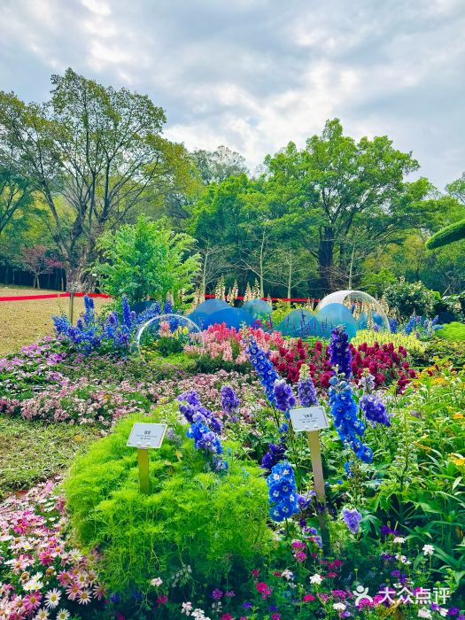 广州市白云山风景名胜区图片