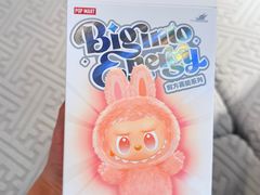 -泡泡玛特POPMART(正弘城店)