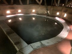 -天门沟九州驿站树上汤泉