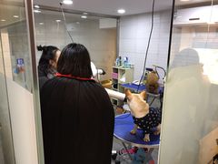 -PETKIT小佩宠物(古北店)