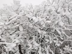 -安吉龙王山风景区