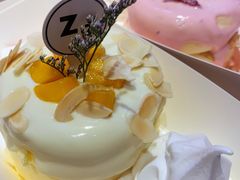 -狐狸和向日葵(北京路店)