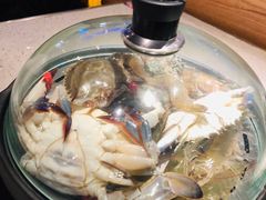 蒸汽海鲜-乔哥铭洋海鲜自助(皇城恒隆广场店)