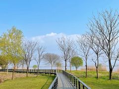 -莲花岛景区