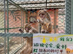 -水上乐园·欢乐世界