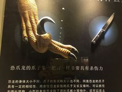 -世界恐龙谷景区