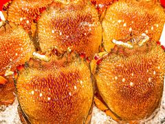 -阳光岛·海鲜盛宴(银泰中心in99店)