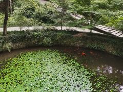 -虎跑公园
