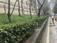 -武汉大学-樱园