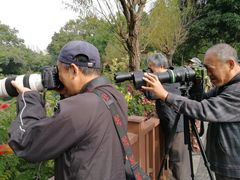 -晓港公园