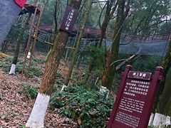 -石燕湖生态旅游景区