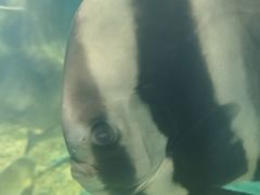 -上海长江河口科技馆