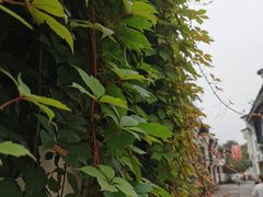 -鼓楼(西湖风景名胜区)