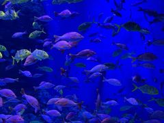 -成都浩海立方海洋公园