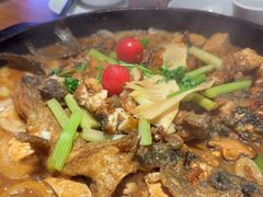 -老板恋上鱼(恒隆广场店)