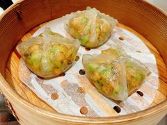 -甄御•海鲜新青岛菜(麦岛店)