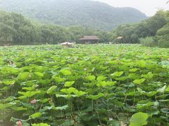 -兰亭风景区