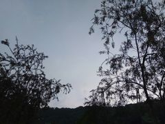 -广州市帽峰山景区