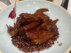 -朱记乳鸽王·非遗石岐乳鸽·全鸽宴(大兴旗舰店)