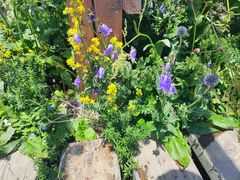 -白草畔自然风景区