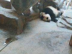 -宁波野生动物园