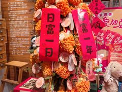 -猫的天空之城概念书店(苏州平江店)