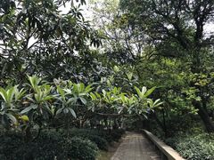 -雨花胜境