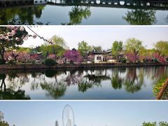 -无锡蠡湖国家湿地公园-蠡园