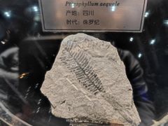 -国家自然博物馆