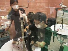 -FAELING PETS美天灵宠物(合生汇店)