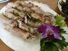 -友强·23年特色海鲜大排档(厦门店)