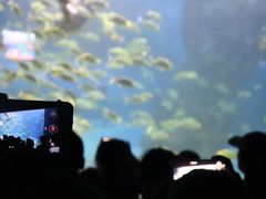 -左海海底世界