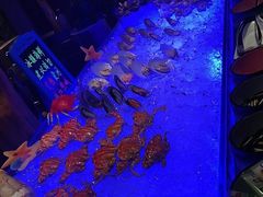 -长沙三景韦尔斯利酒店·Oval全日制餐厅自助餐