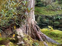 -三千院