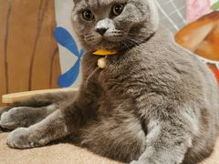 -么么咖啡(燕郊店)