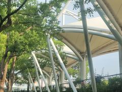 -新江湾城公园