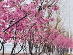 -艾溪湖湿地公园